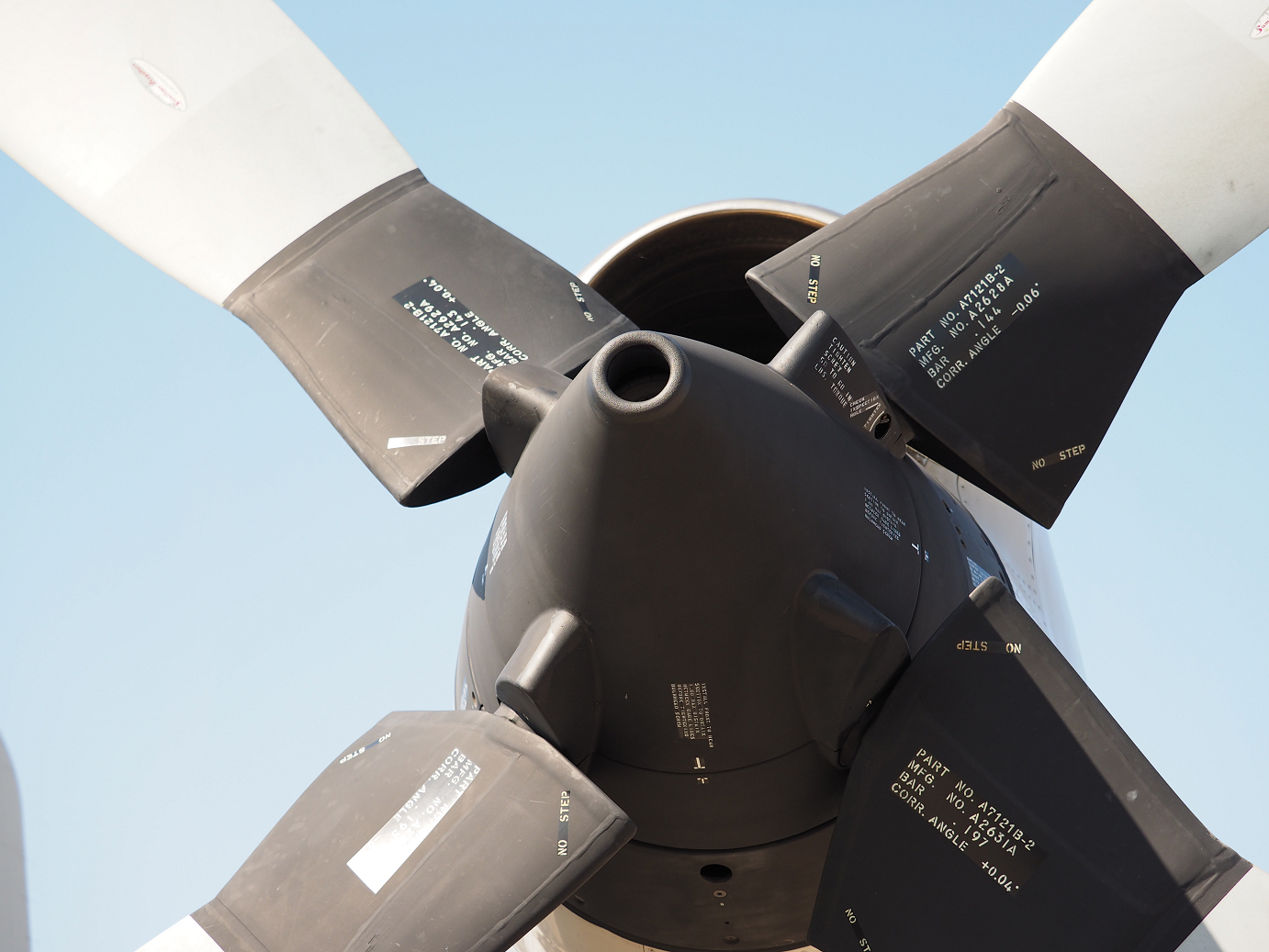 PA251376.jpg