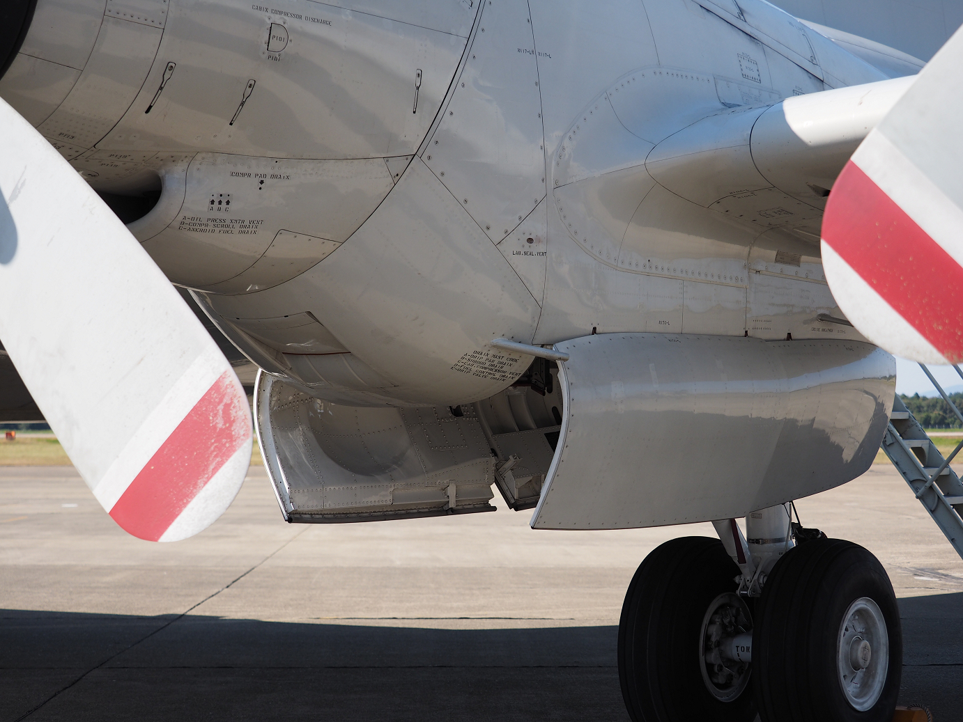 PA251378.jpg