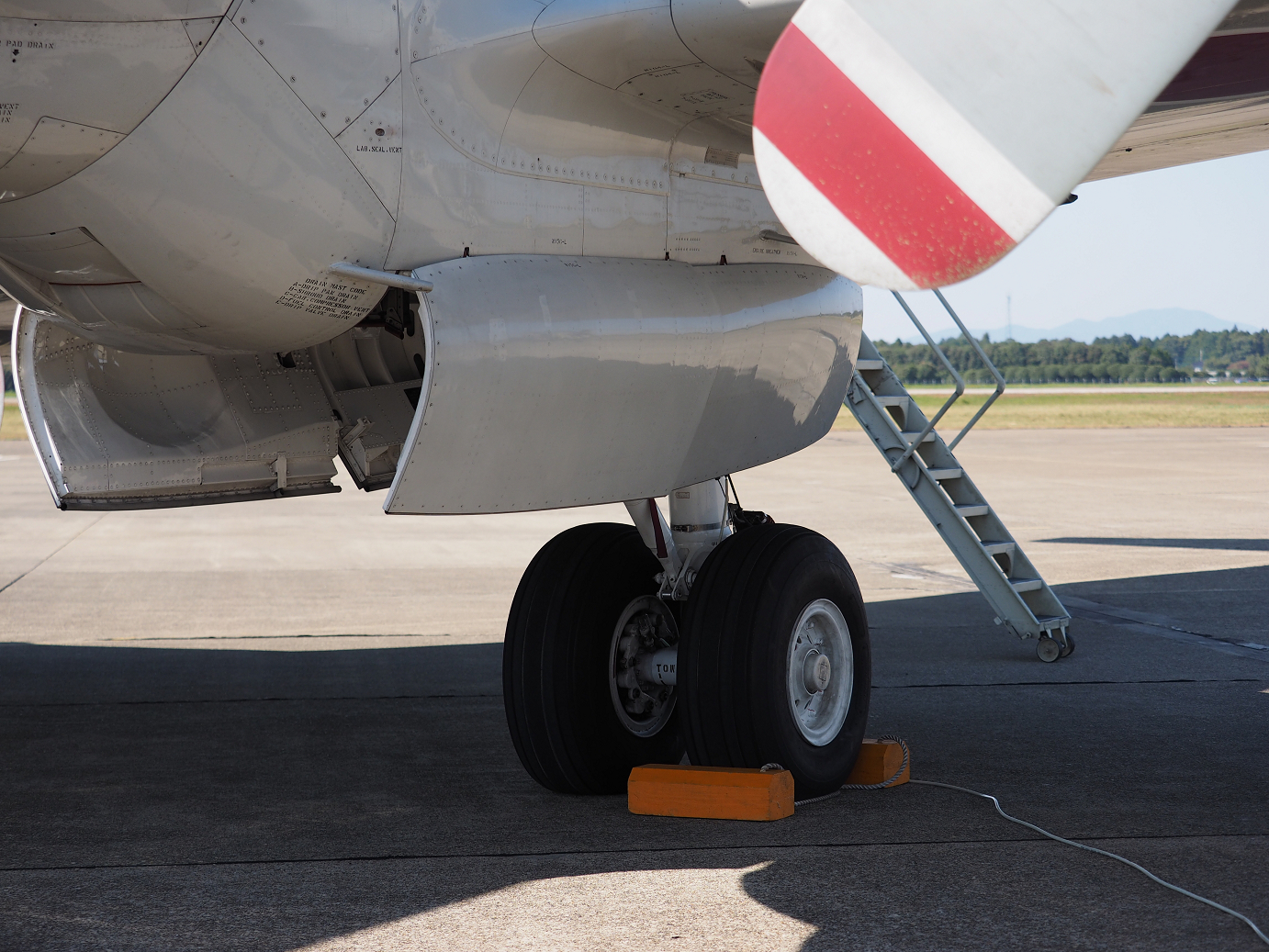 PA251379.jpg