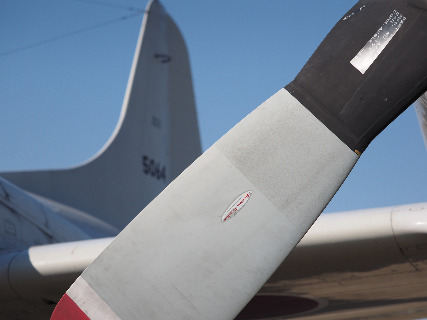 PA251380.jpg