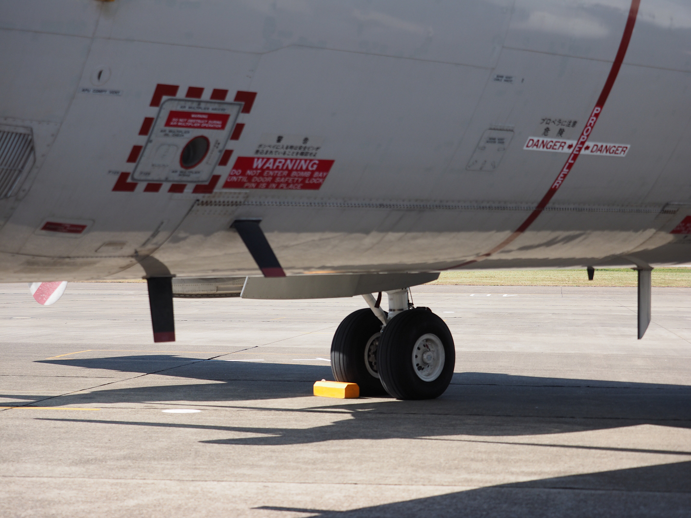 PA251382.jpg