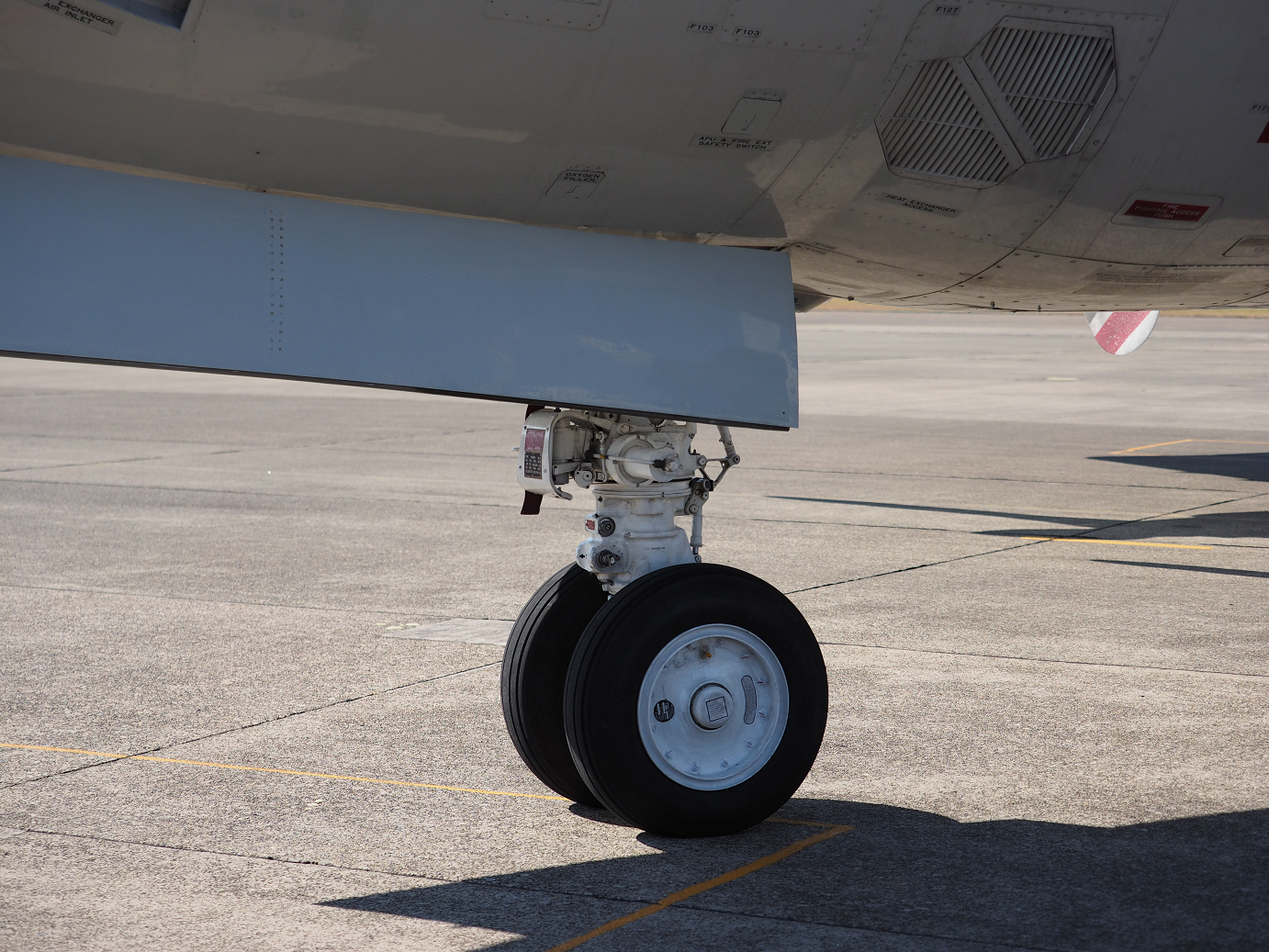 PA251383.jpg