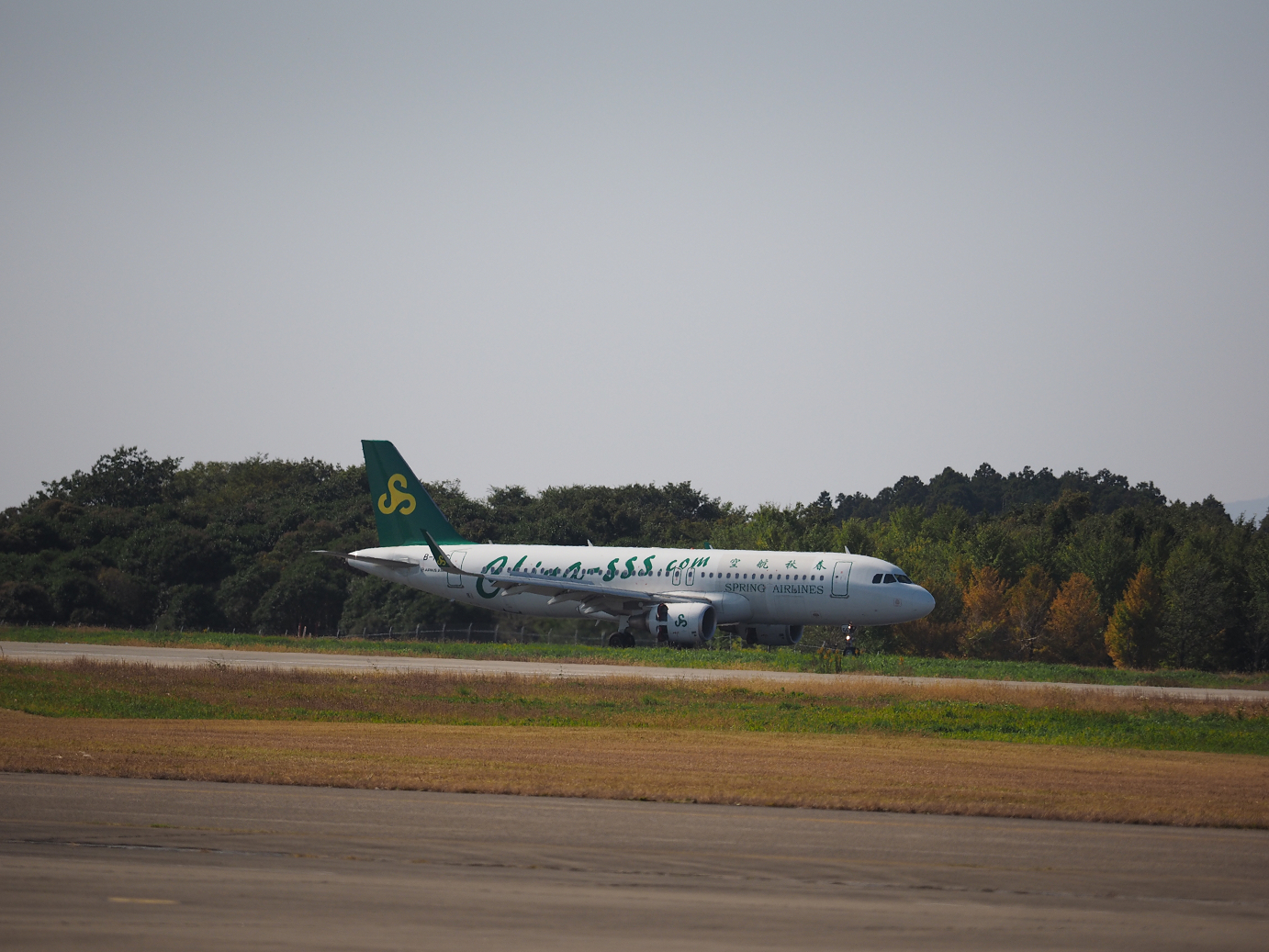PA251384.jpg