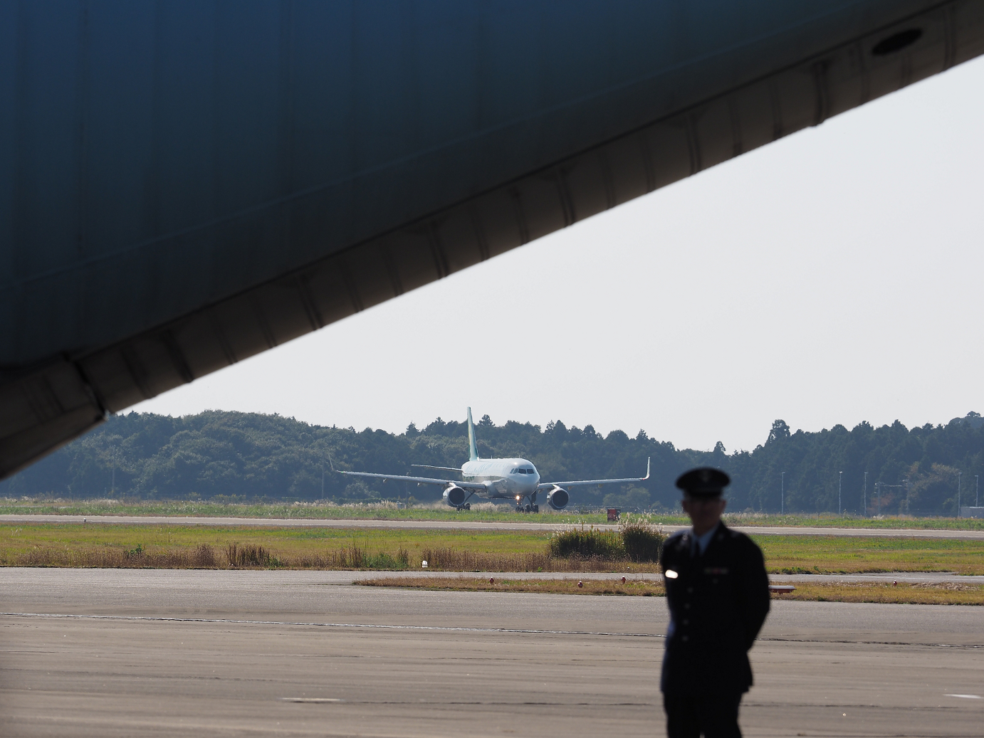 PA251392.jpg