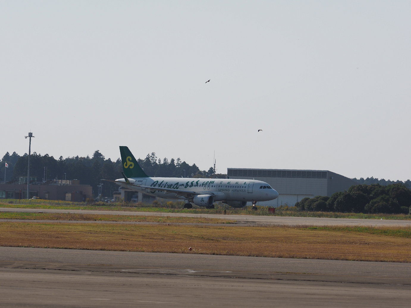 PA251395.jpg