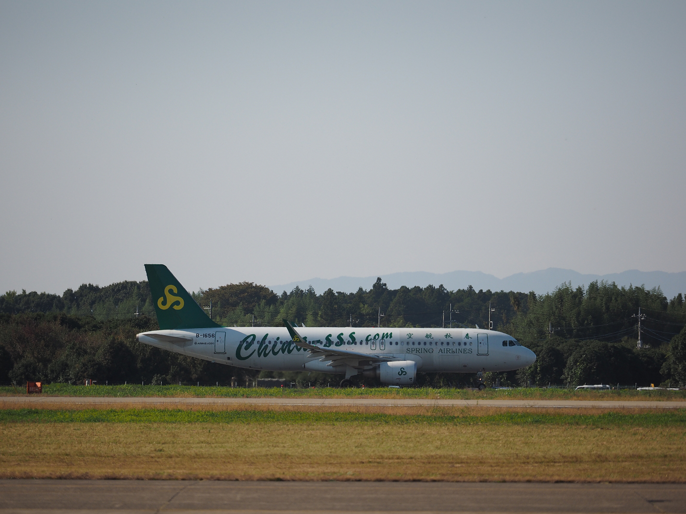 PA251403.jpg