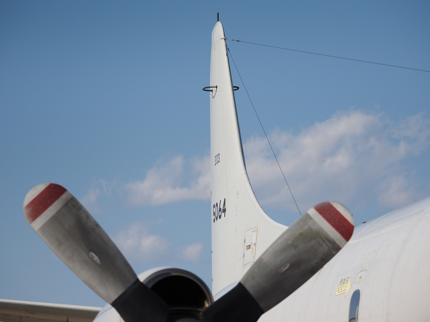 PA251405.jpg