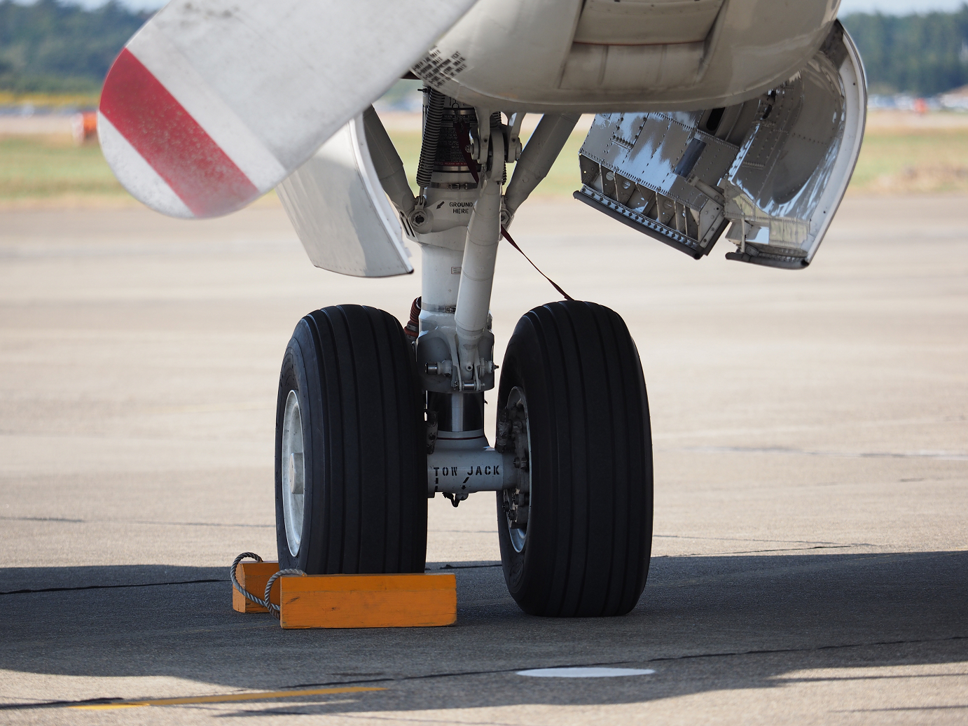 PA251412.jpg