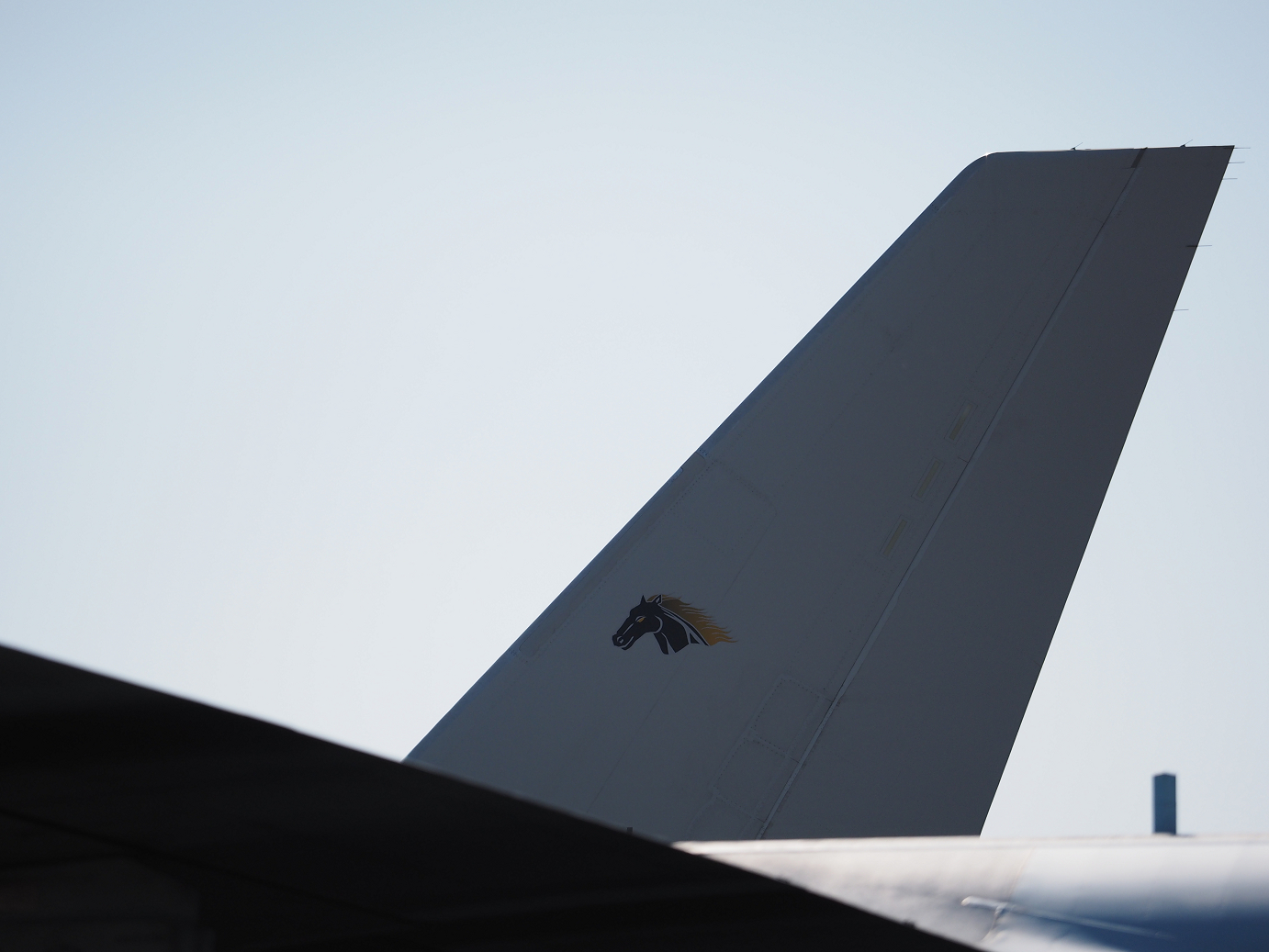 PA251416.jpg