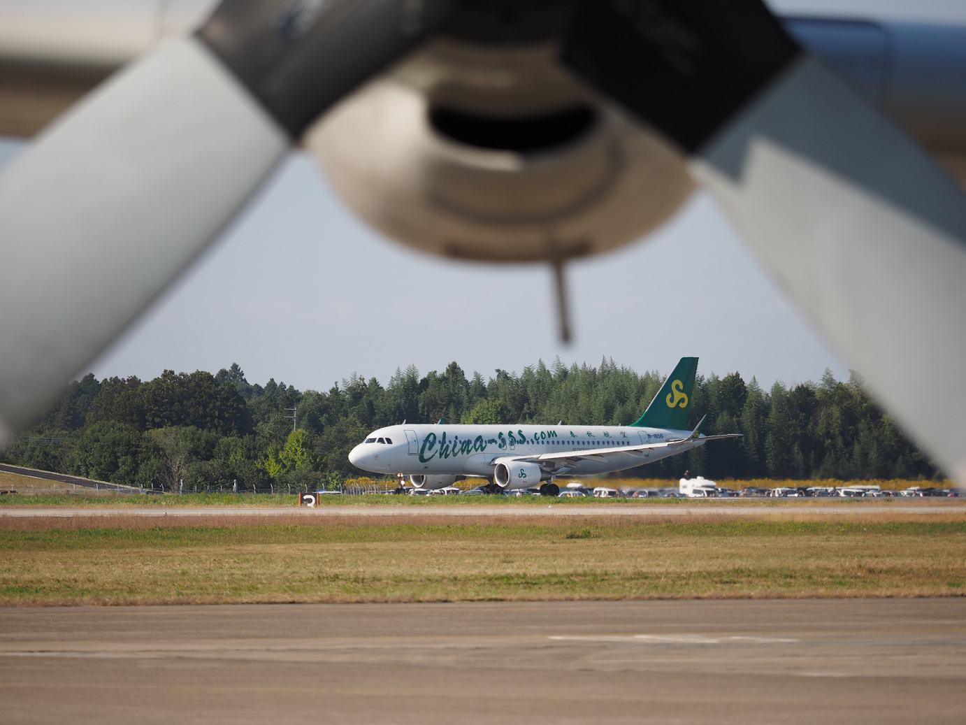 PA251417.jpg