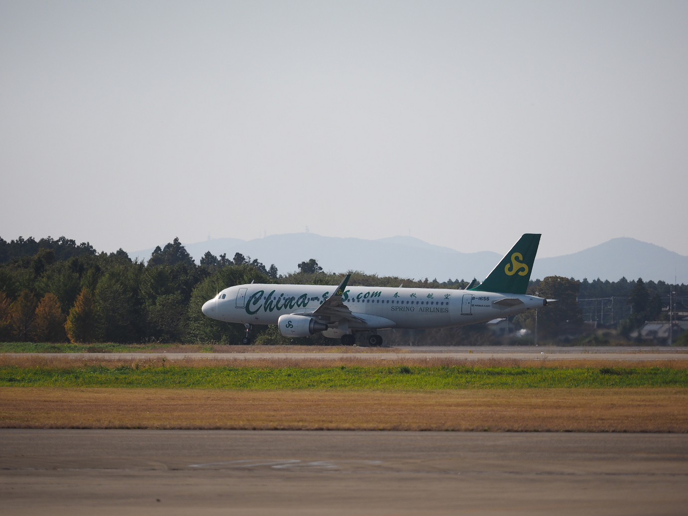 PA251423.jpg
