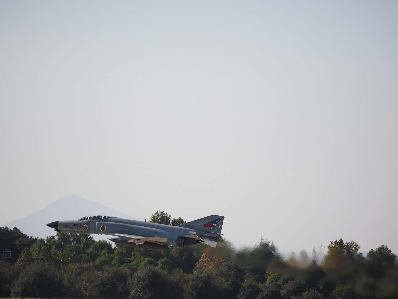 PA251480.jpg