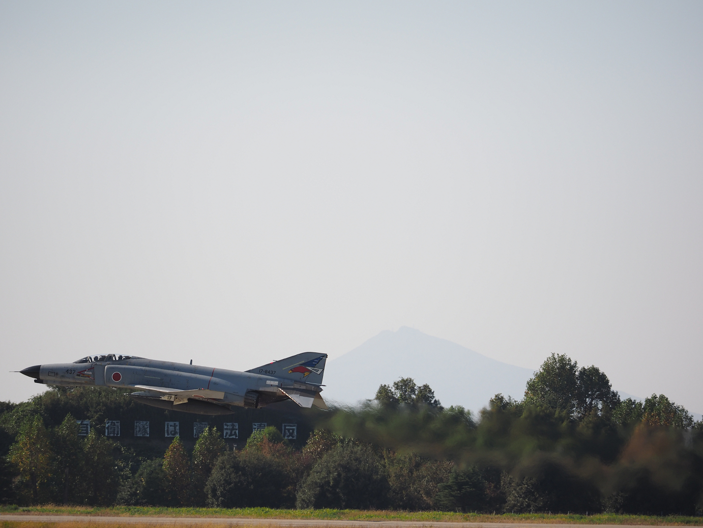 PA251482.jpg