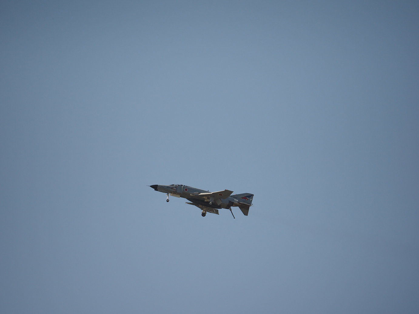 PA251582.jpg