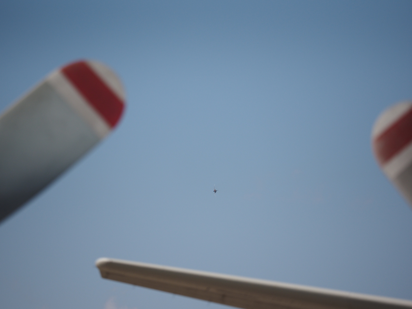PA251621.jpg