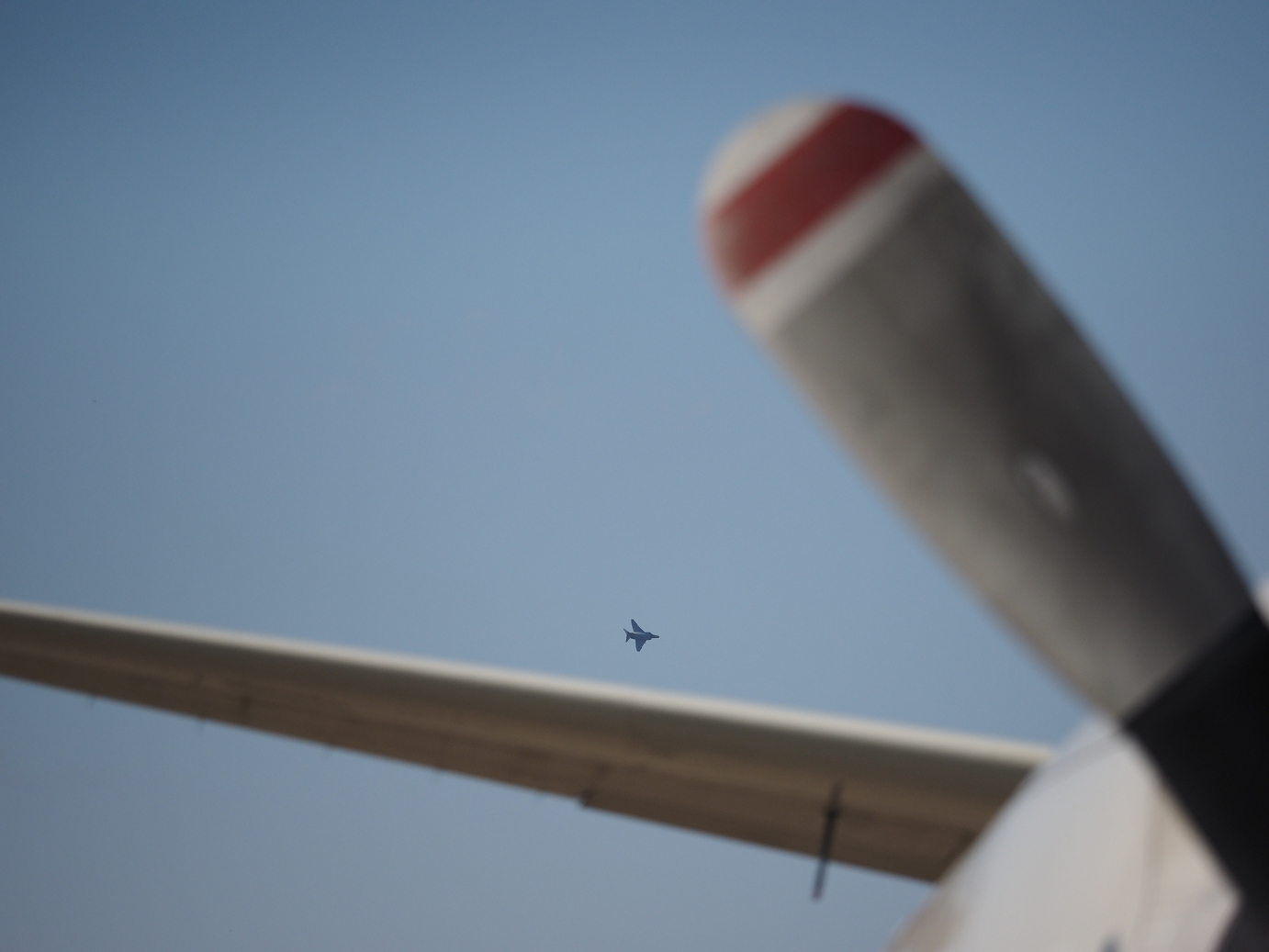 PA251622.jpg