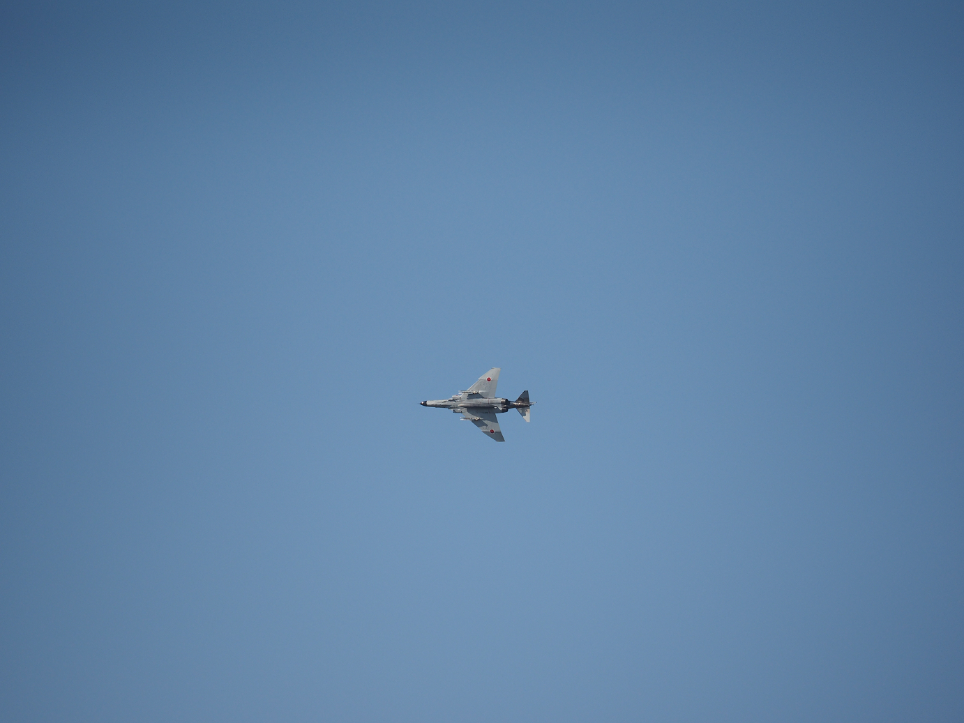PA251625.jpg