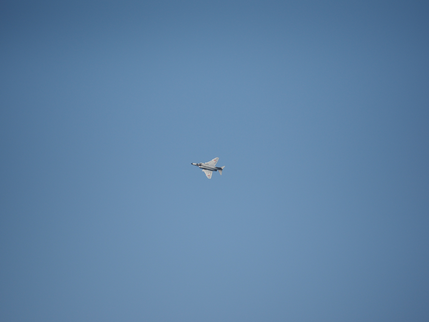 PA251645.jpg