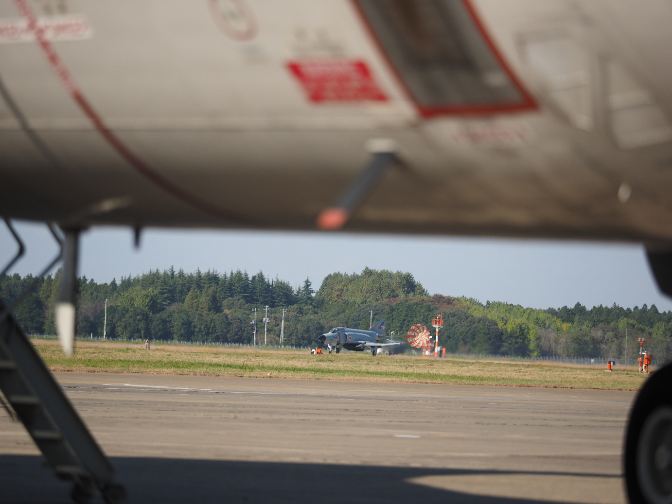 PA251665.jpg