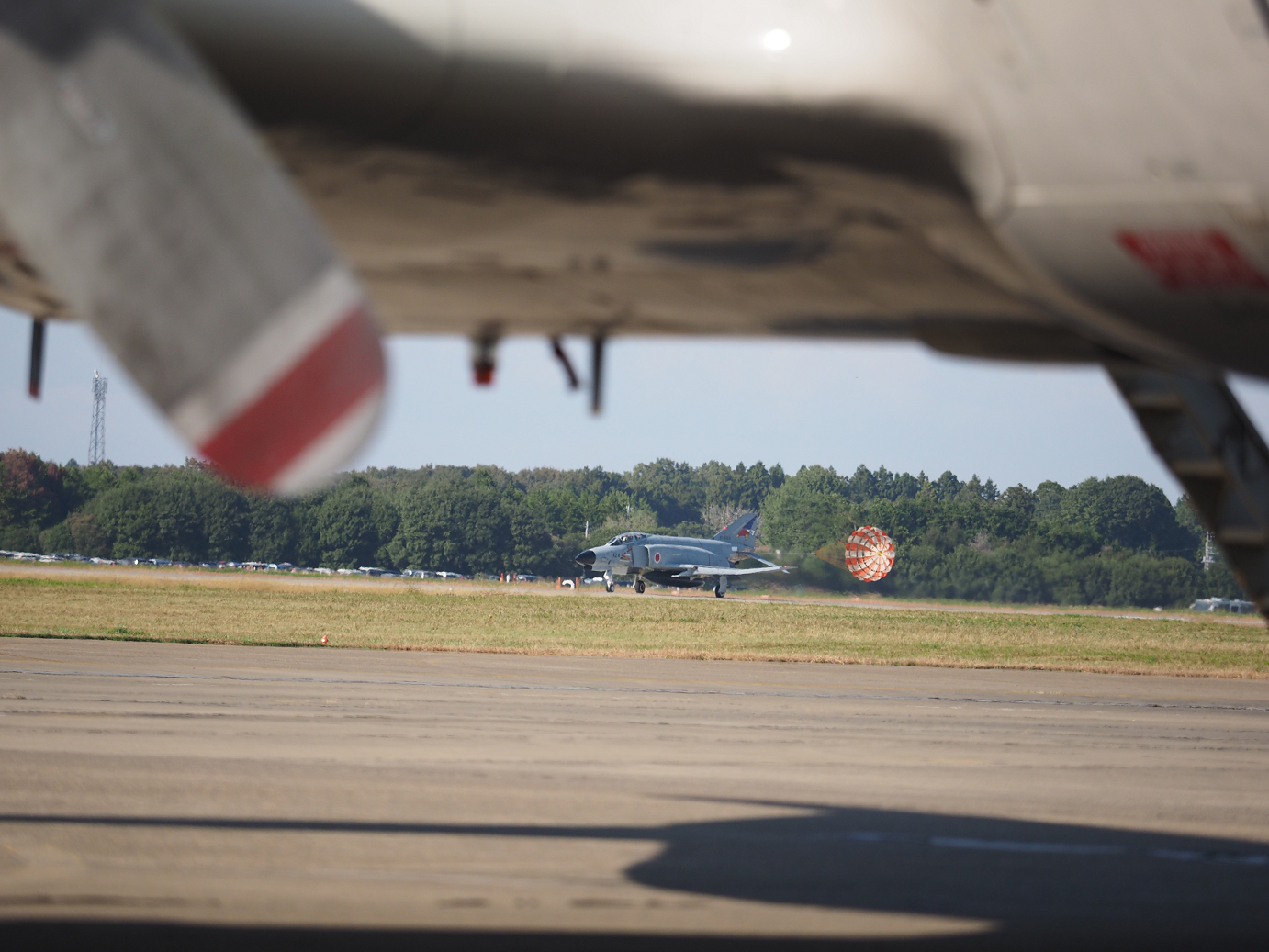 PA251669.jpg