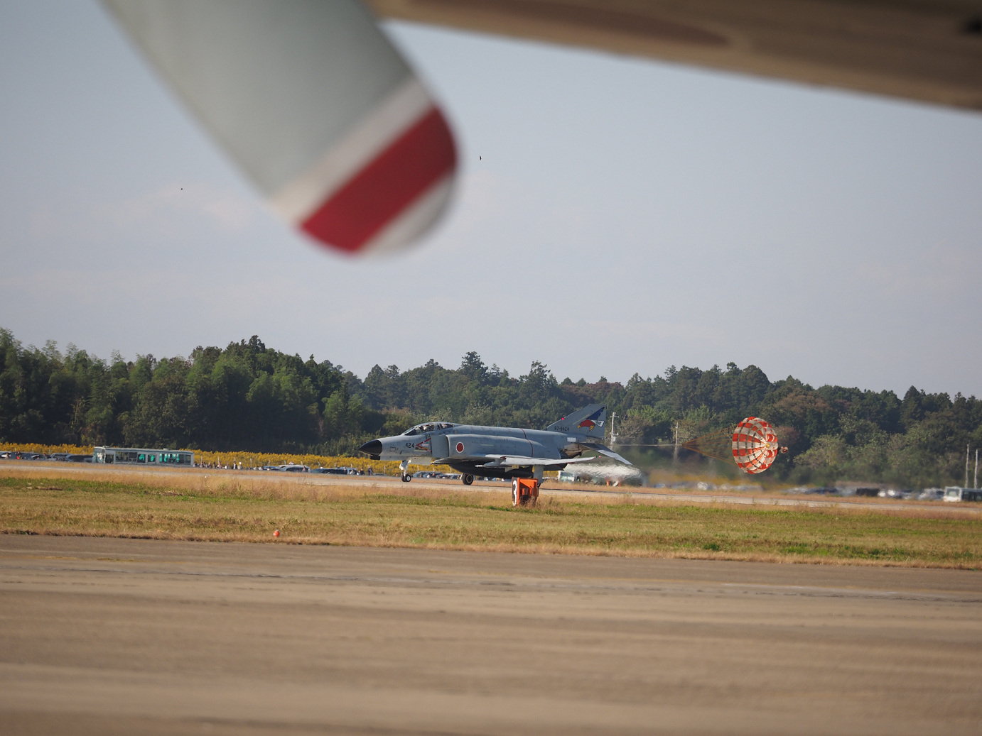 PA251672.jpg