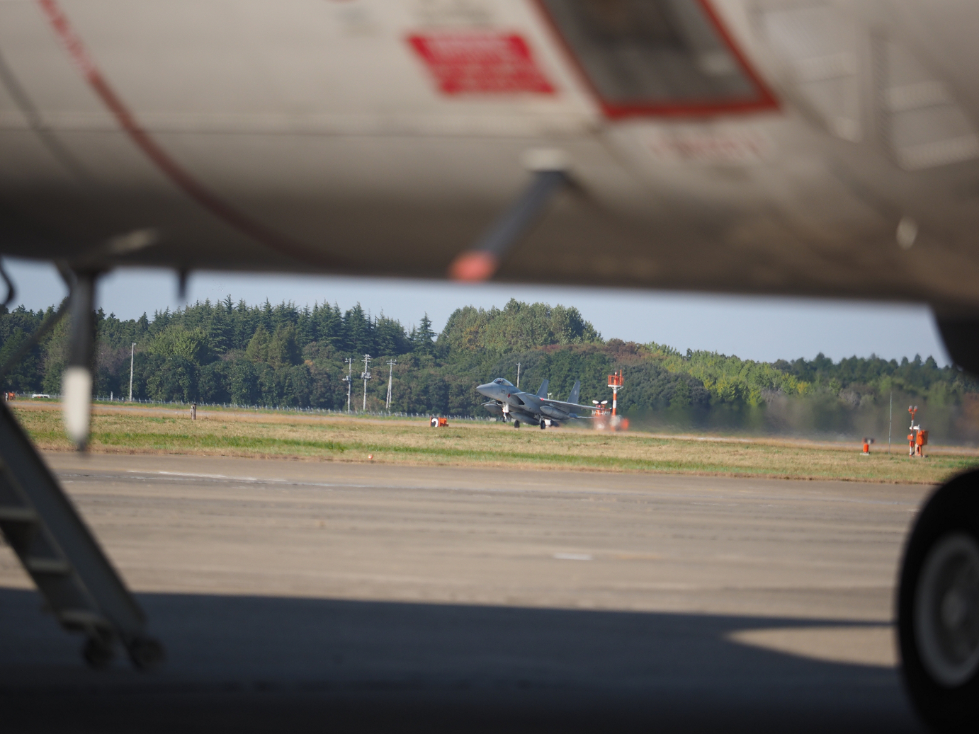 PA251739.jpg