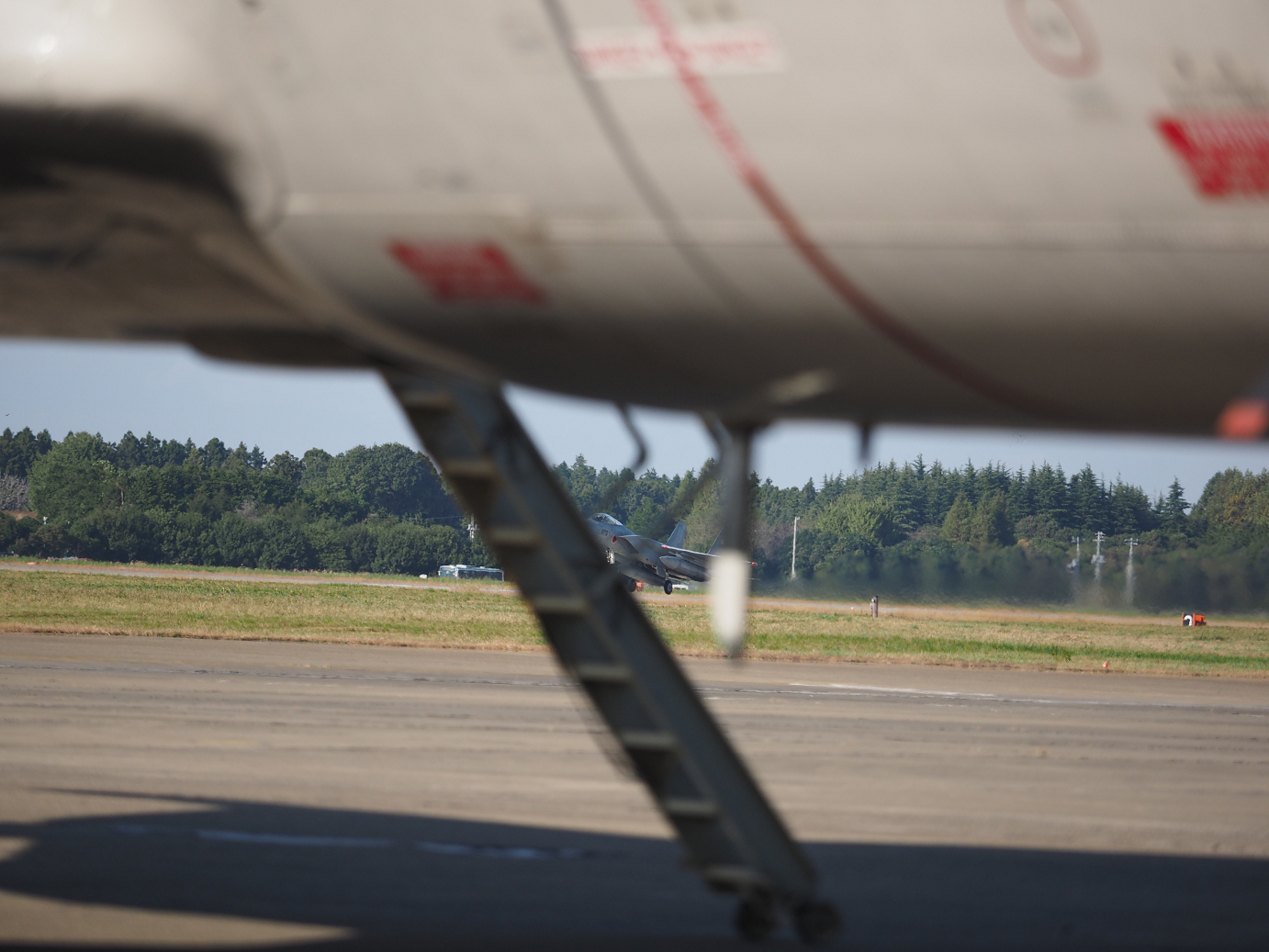PA251742.jpg