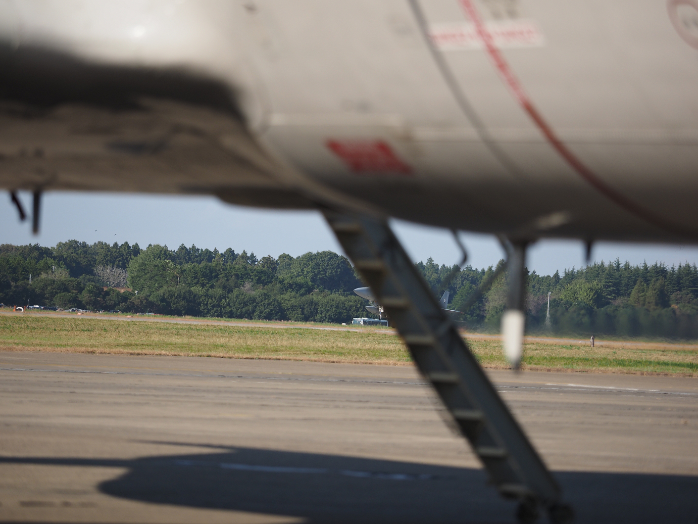 PA251744.jpg