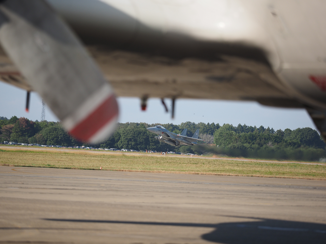 PA251745.jpg