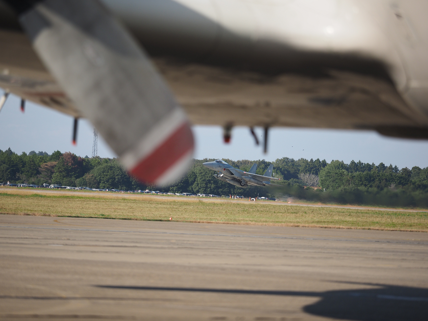PA251746.jpg