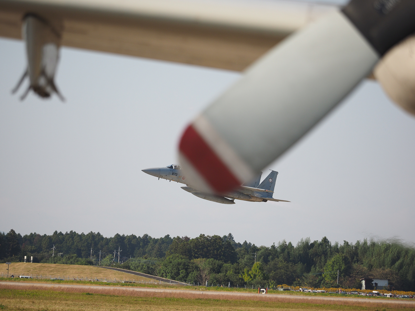 PA251747.jpg