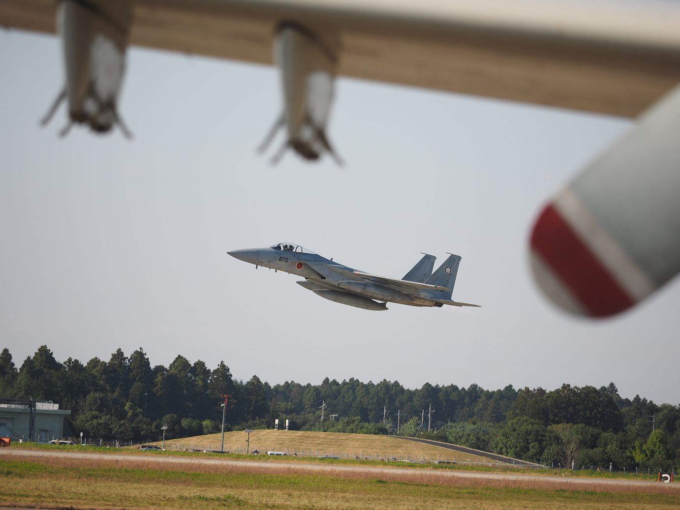PA251749.jpg