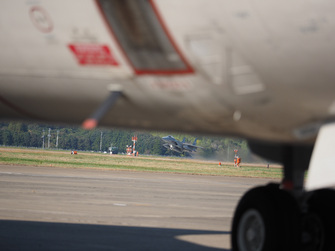 PA251774.jpg