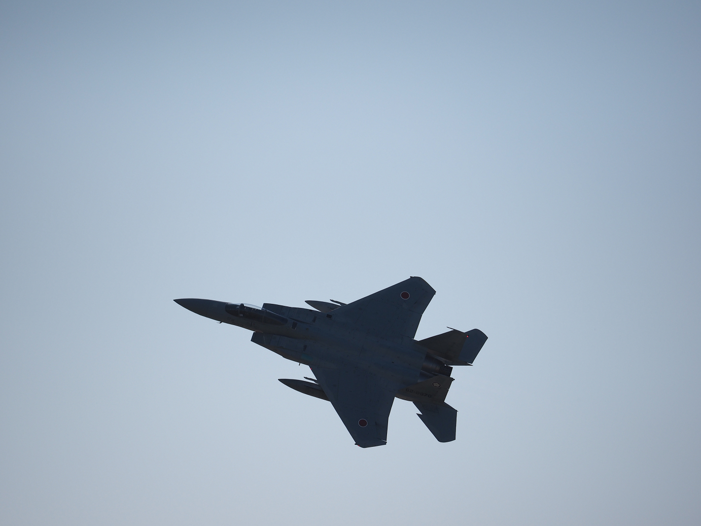 PA251792.jpg