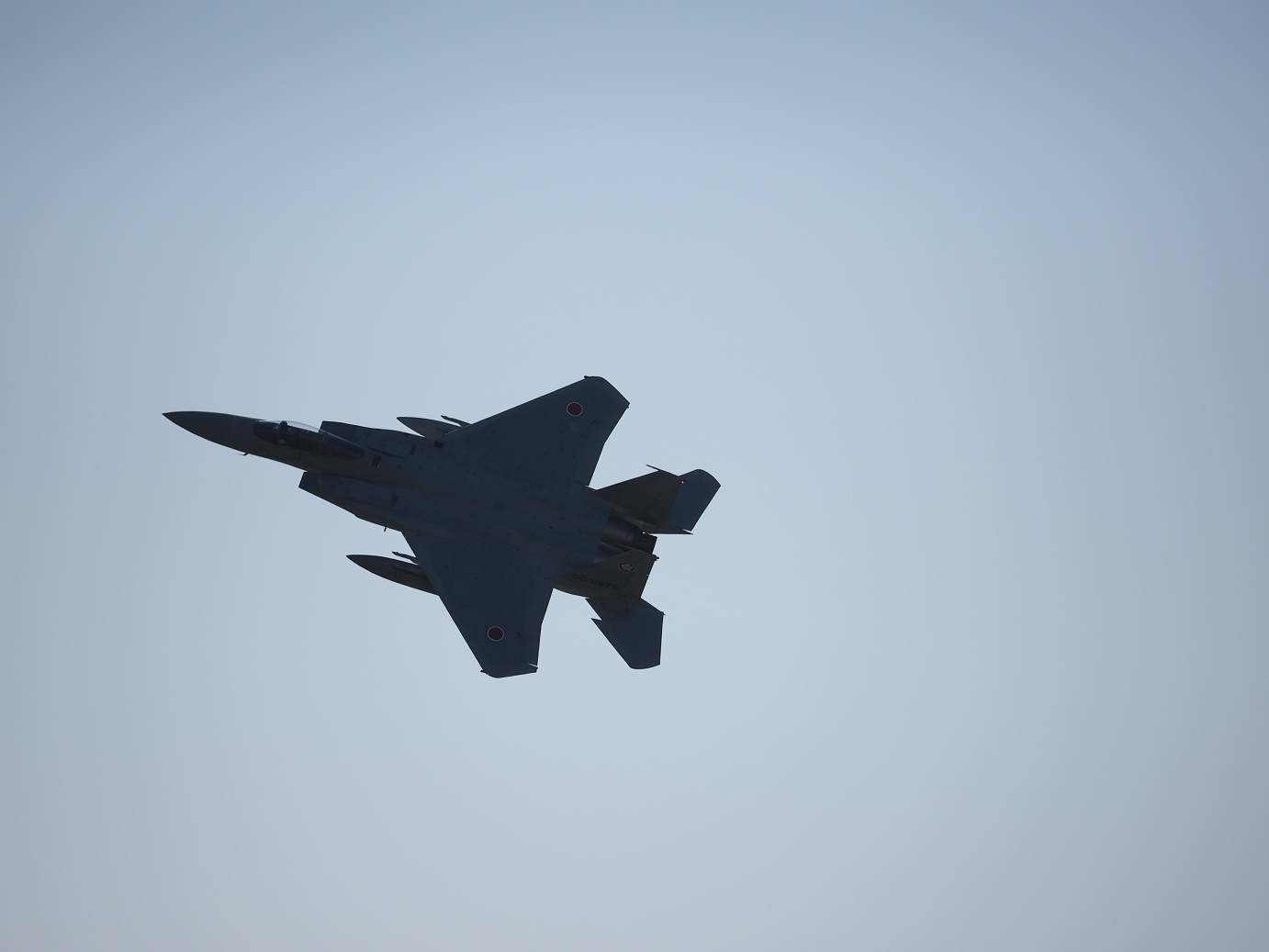 PA251794.jpg