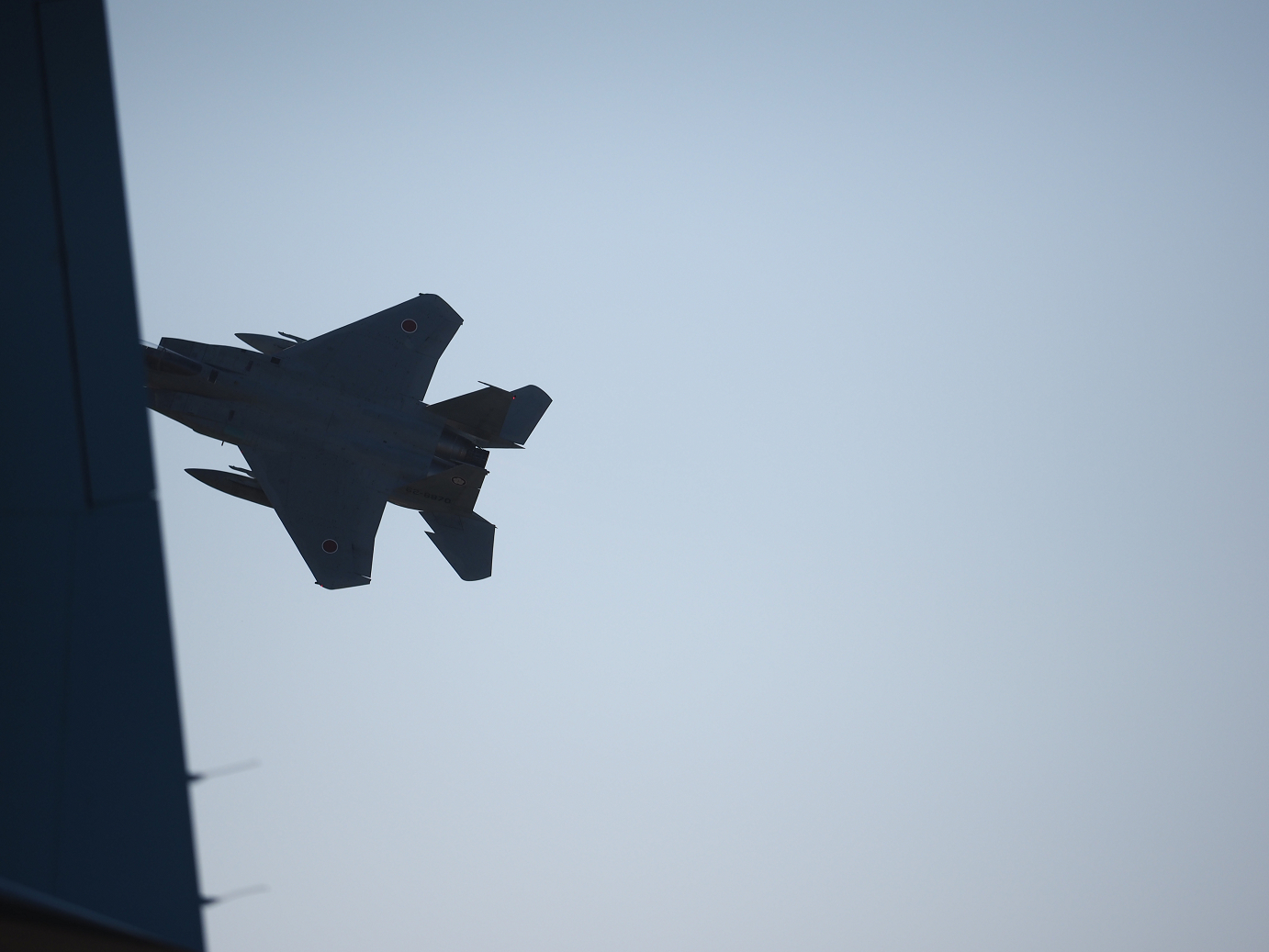 PA251796.jpg