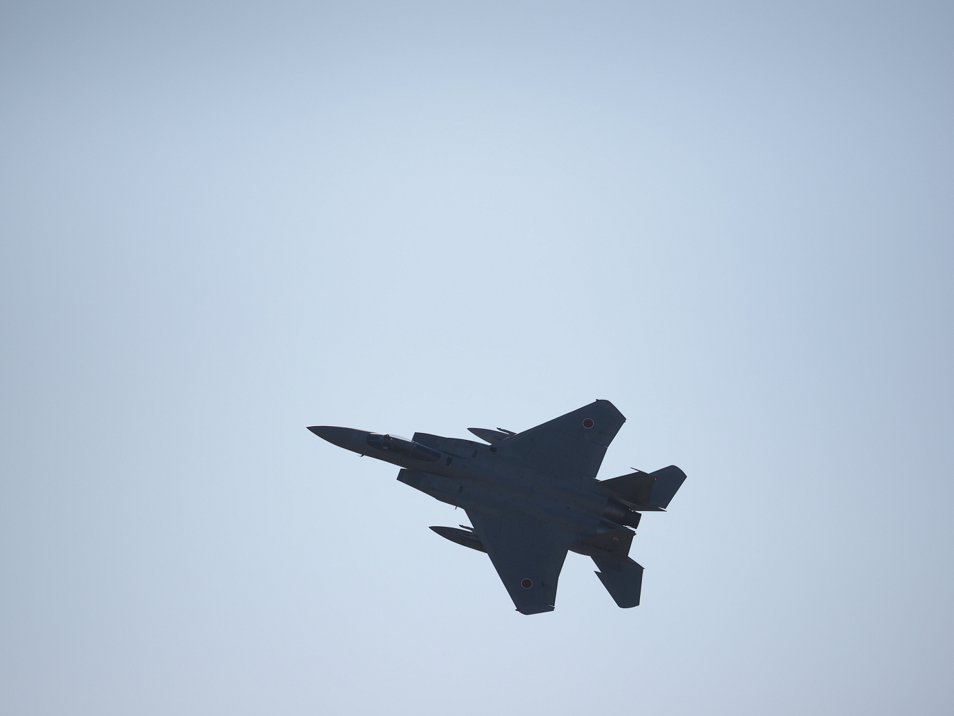 PA251803.jpg