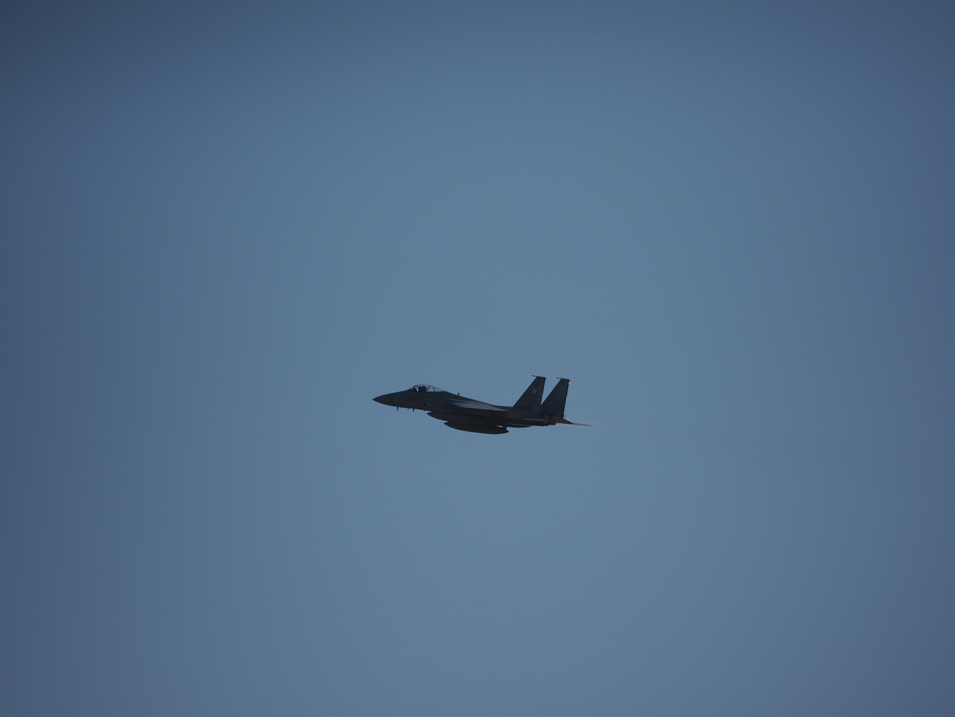 PA251811.jpg