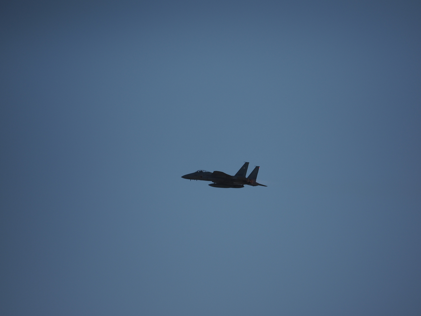 PA251817.jpg