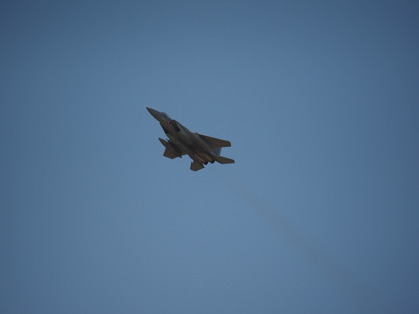 PA251832.jpg