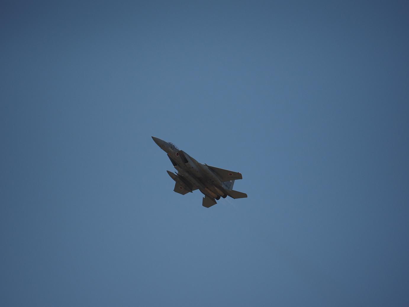 PA251835.jpg