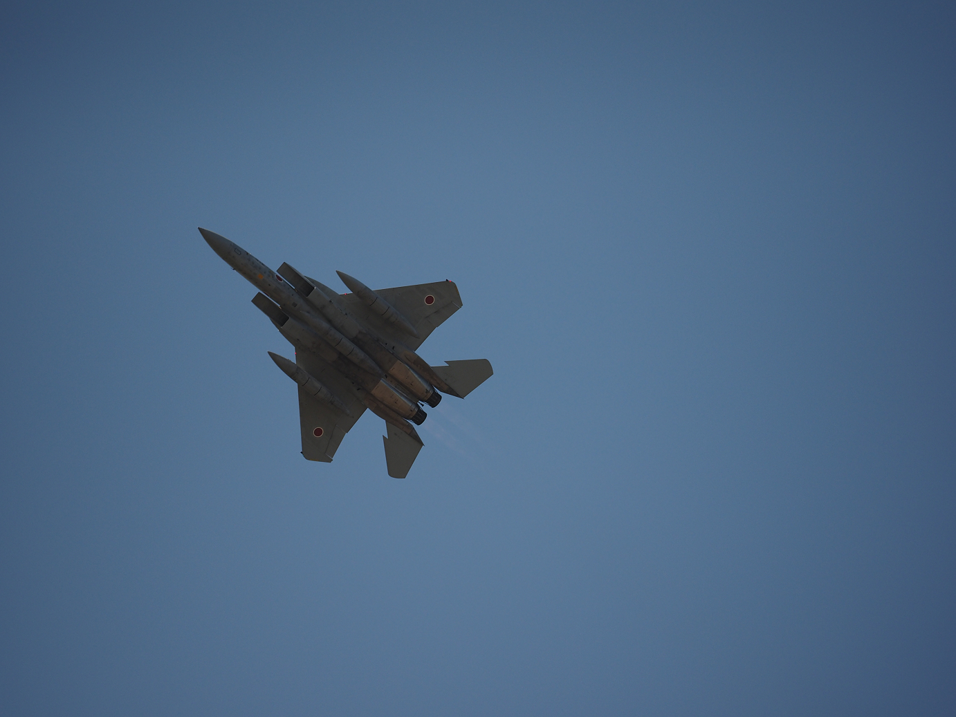PA251843.jpg
