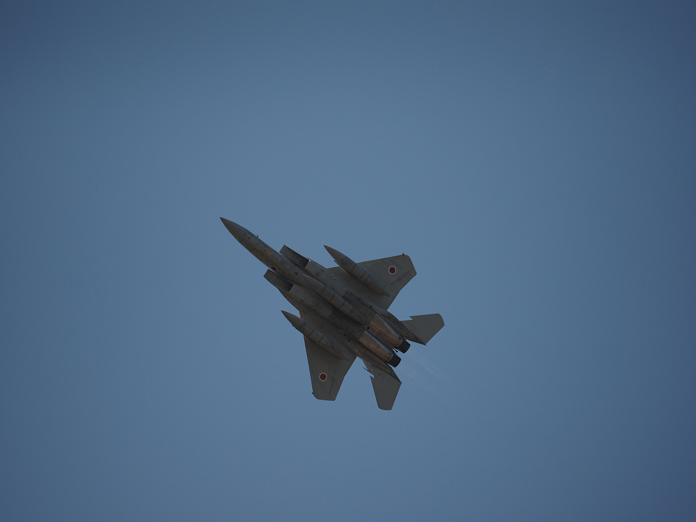 PA251845.jpg