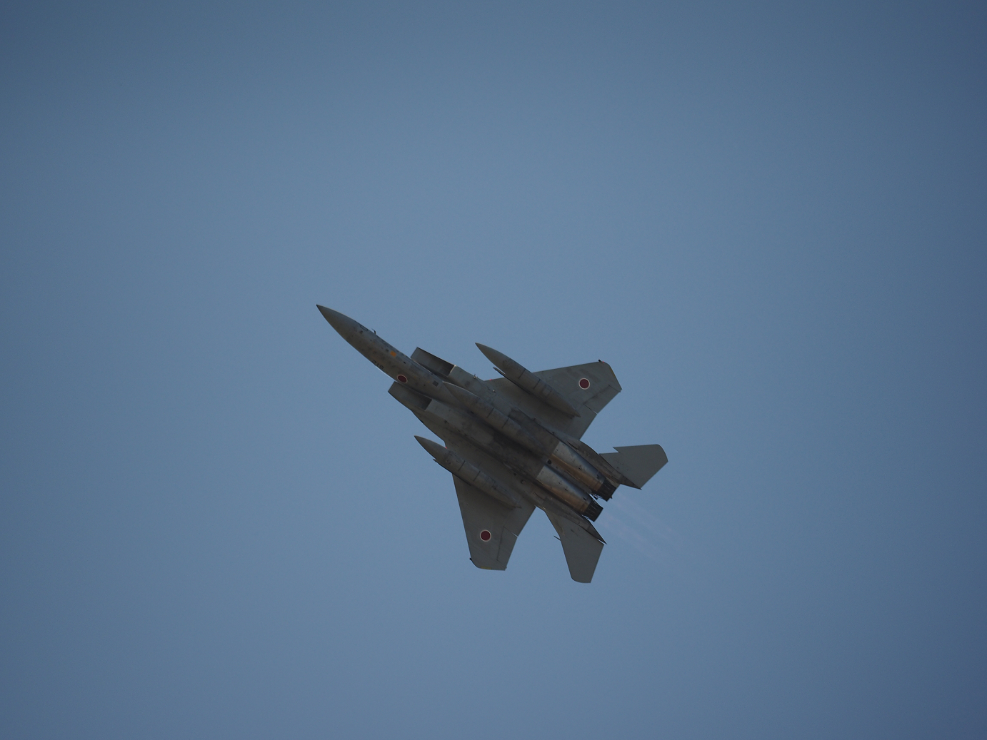 PA251849.jpg