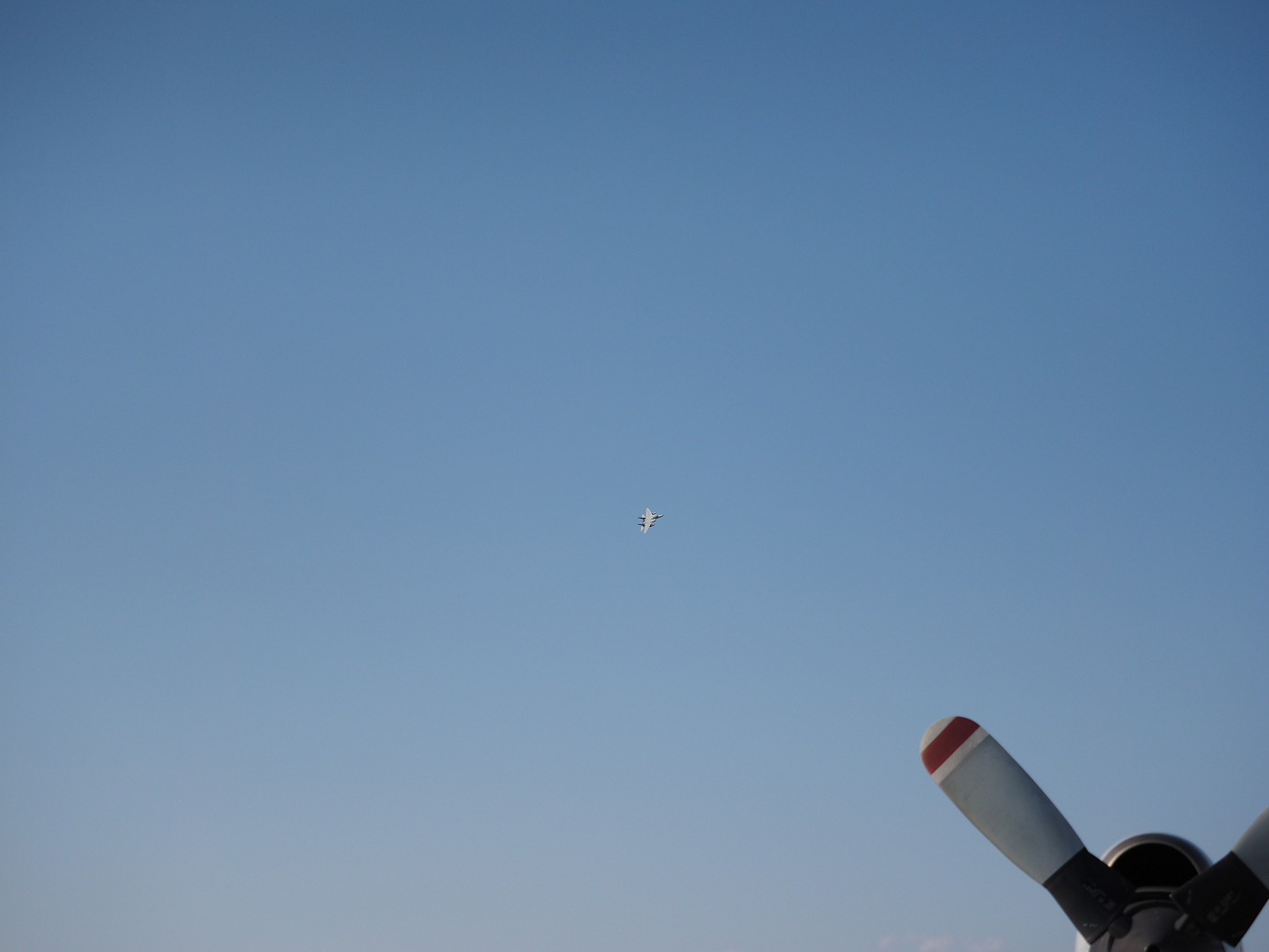 PA251850.jpg