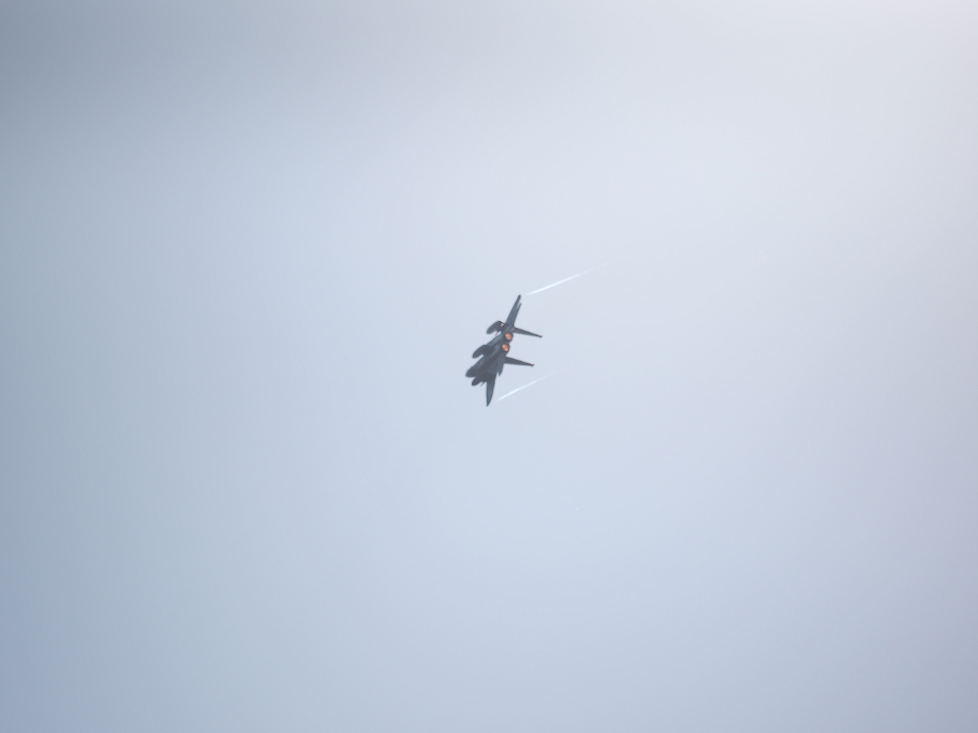 PA251865.jpg