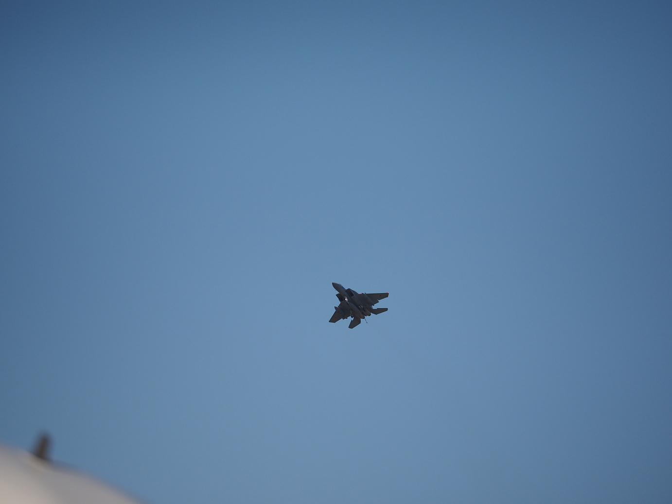 PA251877.jpg