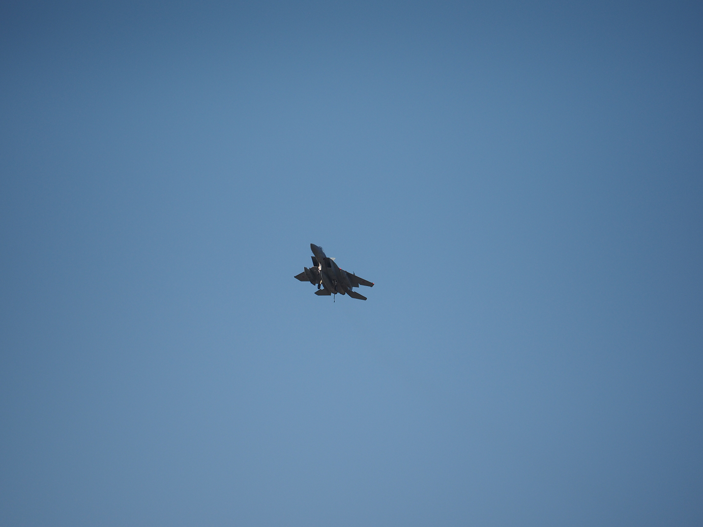 PA251881.jpg