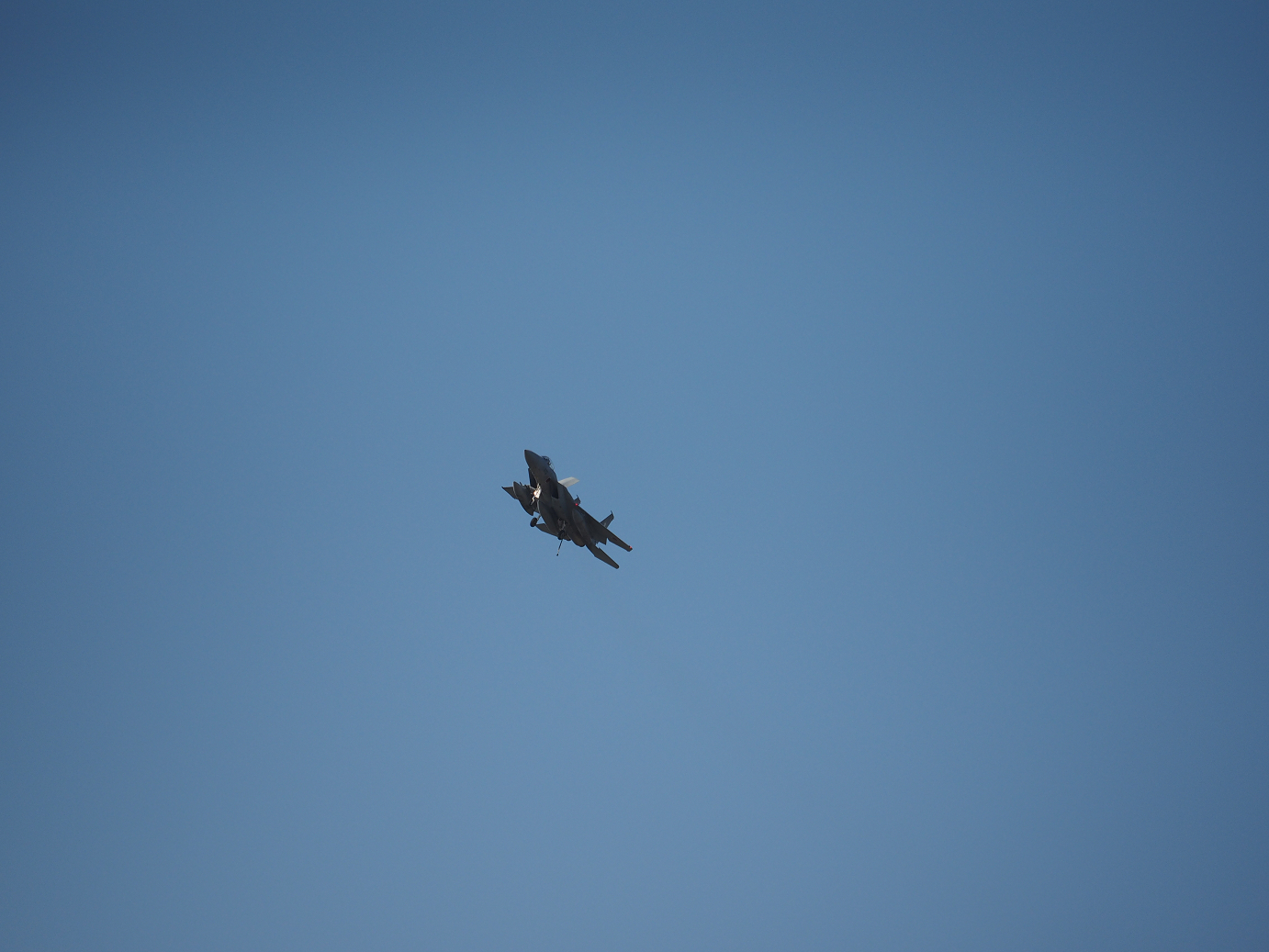 PA251884.jpg