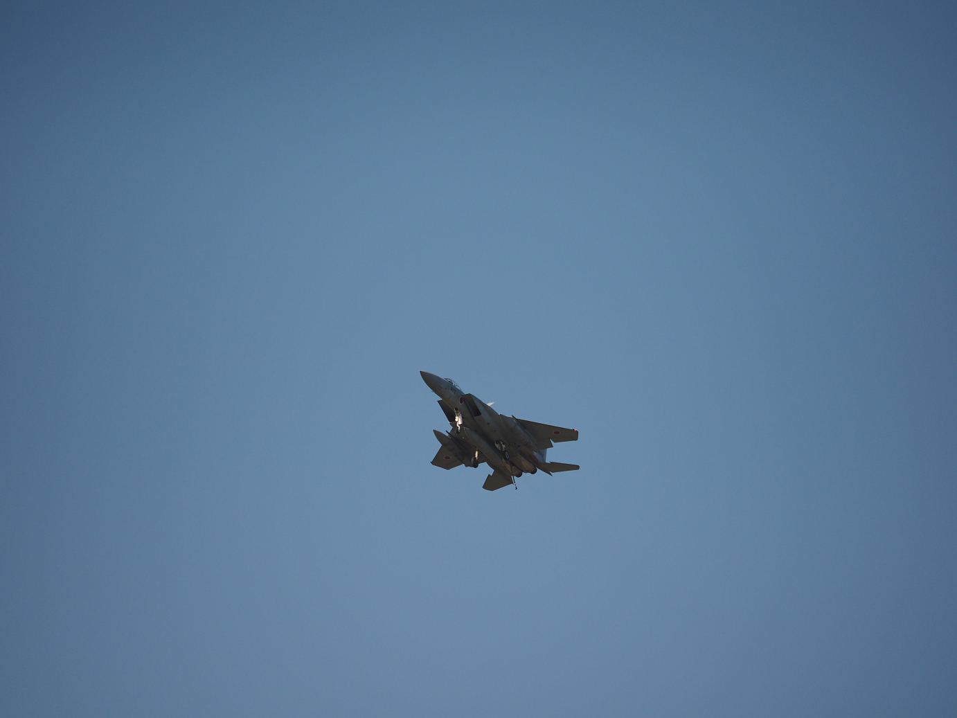 PA251888.jpg